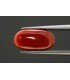 4.09 cts Natural Coral - Moonga (SKU:90081552)
