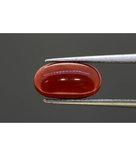 3.95 cts Natural Coral - Moonga (SKU:90081729)