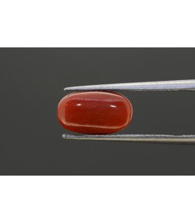 3.63 cts Natural Coral - Moonga (SKU:90081743)