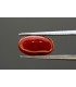 4.12 cts Natural Coral - Moonga (SKU:90082054)