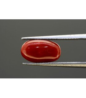 4.12 cts Natural Coral - Moonga (SKU:90082054)