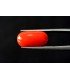 9.94 cts Natural Coral (Moonga)