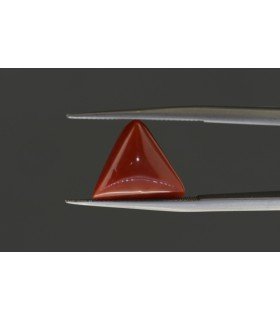 3.83 cts Natural Coral - Moonga (SKU:90089282)