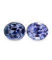 12.66 cts Unheated Natural Blue Sapphire (Neelam) - Earring Pair