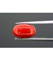 4.84 cts Natural Coral (Moonga)