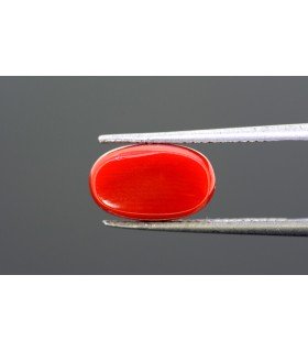 4.84 cts Natural Coral - Moonga (SKU:90090493)