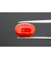 5.32 cts Natural Coral (Moonga)