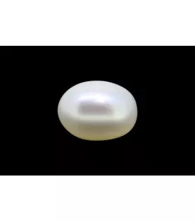 3.1 cts Cultured Pearl (Moti)