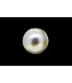 3.86 cts Cultured Pearl (Moti)
