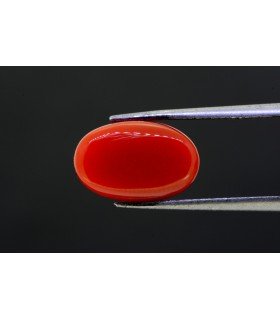 5.94 cts Natural Coral - Moonga (SKU:90129834)