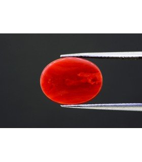 5.38 cts Natural Coral - Moonga (SKU:90129933)