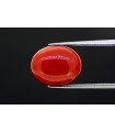 6.7 cts Natural Coral (Moonga)