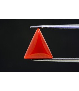 3.82 cts Natural Coral (Moonga)