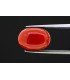 6.16 cts Natural Coral (Moonga)