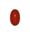 23.82 cts Natural Coral (Moonga)