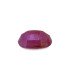 2.03 cts Unheated Natural Ruby - Manak (SKU:90136702)