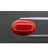 7.39 cts Natural Coral (Moonga)