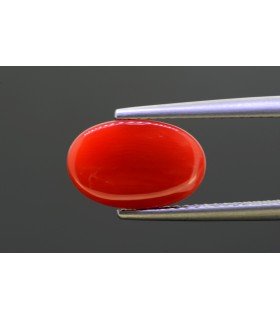 3.12 cts Natural Coral - Moonga (SKU:90137648)