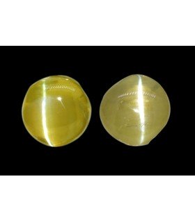 1.91 cts Natural Cats Eye (Lehsunia) - Earring Pair