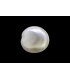 3.05 cts Natural Pearl - Moti (SKU:90140051)