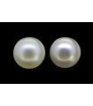 2.88 cts Natural Pearl (Moti) - Earring Pair