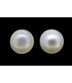 3.38 cts Natural Pearl (Moti) - Earring Pair