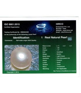 3.38 cts Natural Pearl - Moti (SKU:90140334)