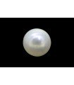 1.2 cts Natural Pearl (Moti)