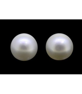 1.57 cts Natural Pearl (Moti) - Earring Pair
