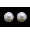 1.57 cts Natural Pearl (Moti) - Earring Pair