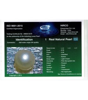1.57 cts Natural Pearl - Moti (SKU:90140556)