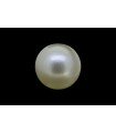 .9 ct Natural Pearl (Moti)
