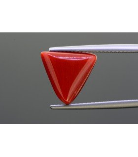 6.31 cts Natural Coral - Moonga (SKU:90141683)