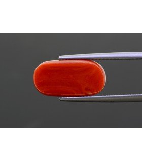 8.12 cts Natural Coral - Moonga (SKU:90141744)