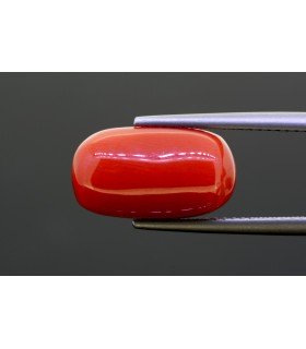 7.94 cts Natural Coral (Moonga)