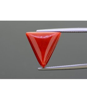 8.21 cts Natural Coral - Moonga (SKU:90141911)