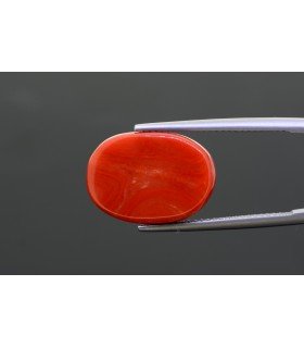 12.31 cts Natural Coral - Moonga (SKU:90143328)