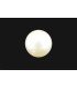 3.46 cts Cultured Pearl (Moti)