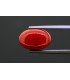 6.47 cts Natural Coral (Moonga)