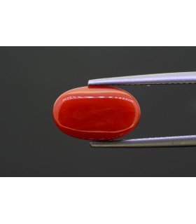 5.64 cts Natural Coral - Moonga (SKU:90145827)