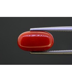 5 cts Natural Coral (Moonga)