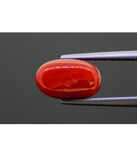 5.12 cts Natural Coral - Moonga (SKU:90145964)