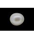1.67 cts Cultured Pearl (Moti)
