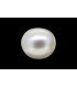 2.39 cts Cultured Pearl (Moti)
