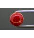 3.14 cts Natural Coral (Moonga)