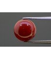 3.93 cts Natural Coral (Moonga)