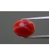 3.31 cts Natural Coral - Moonga (SKU:90149399)