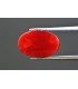 5.87 cts Natural Coral - Moonga (SKU:90149498)