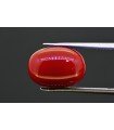 9.61 cts Natural Coral (Moonga)