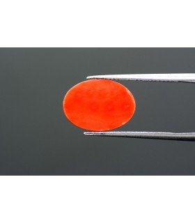 6.23 cts Natural Coral - Moonga (SKU:90054983)